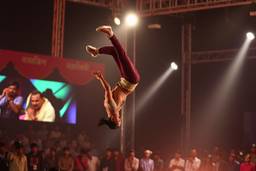 Stunt Performers