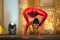 Contortionists