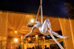 Aerial & Pole Artists